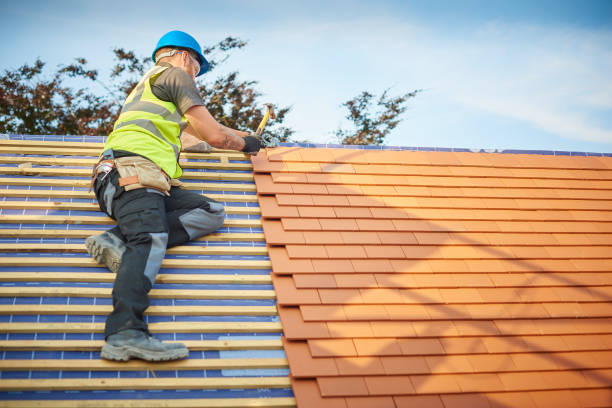 Best Solar Panel Roofing Installation  in Tonka Bay, MN